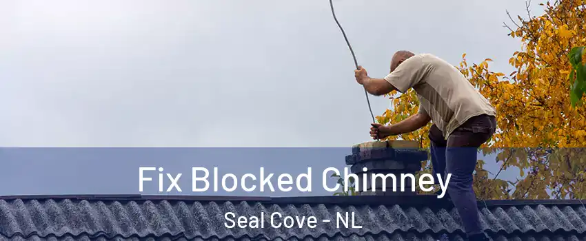  Fix Blocked Chimney Seal Cove - NL
