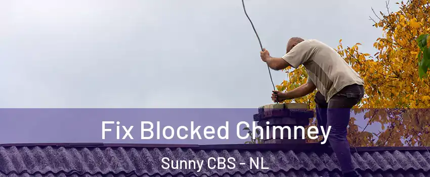  Fix Blocked Chimney Sunny CBS - NL