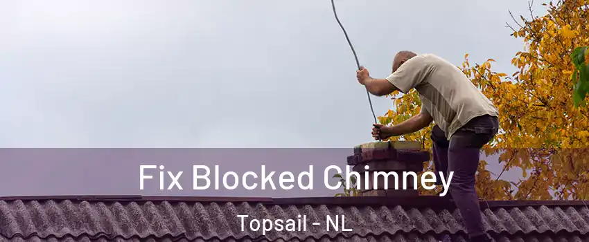  Fix Blocked Chimney Topsail - NL