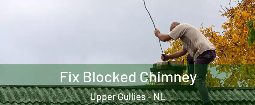  Fix Blocked Chimney Upper Gullies - NL