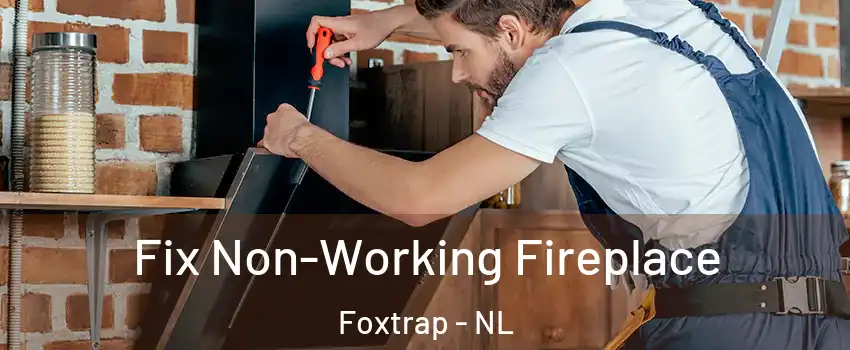  Fix Non-Working Fireplace Foxtrap - NL