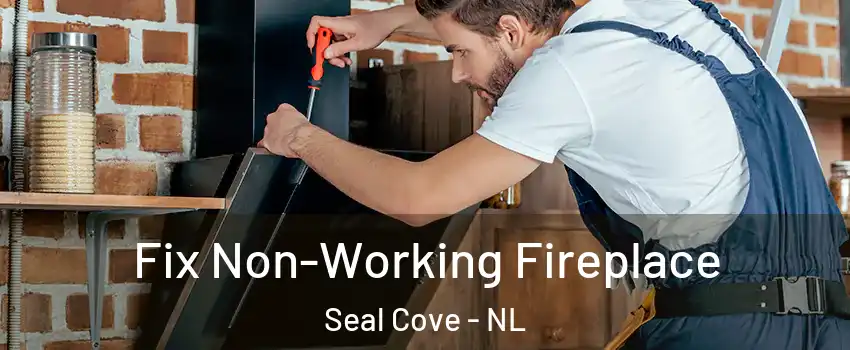  Fix Non-Working Fireplace Seal Cove - NL