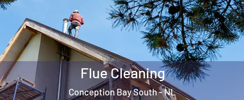  Flue Cleaning Conception Bay South - NL