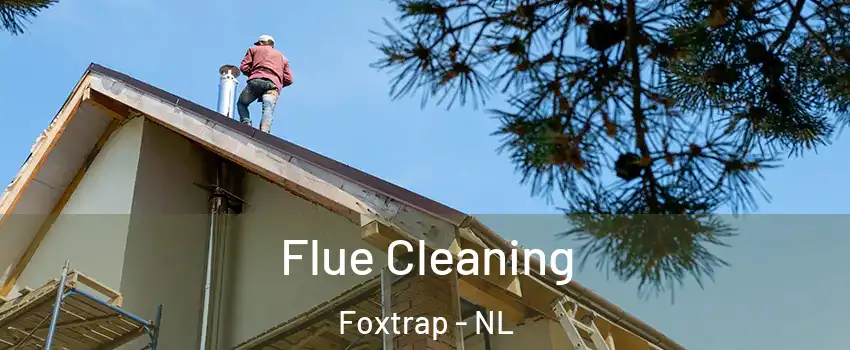  Flue Cleaning Foxtrap - NL