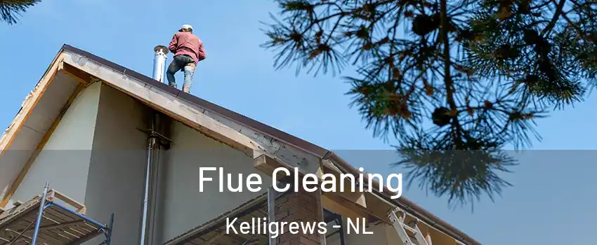  Flue Cleaning Kelligrews - NL