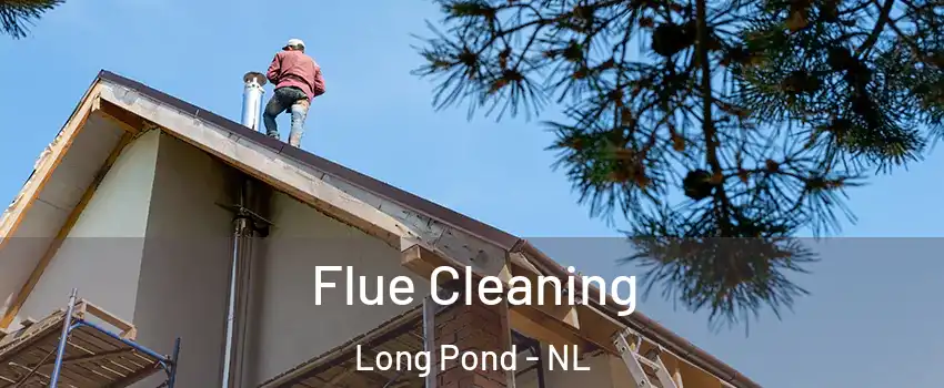  Flue Cleaning Long Pond - NL