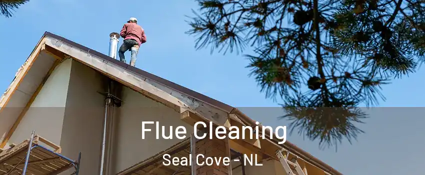  Flue Cleaning Seal Cove - NL