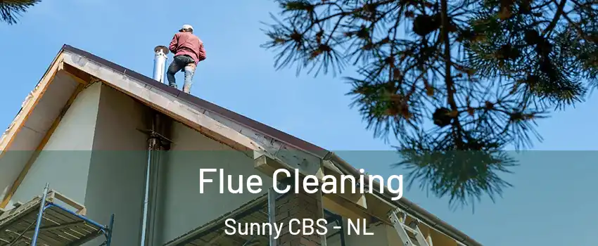  Flue Cleaning Sunny CBS - NL