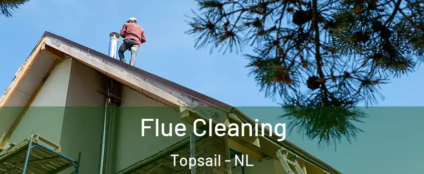  Flue Cleaning Topsail - NL