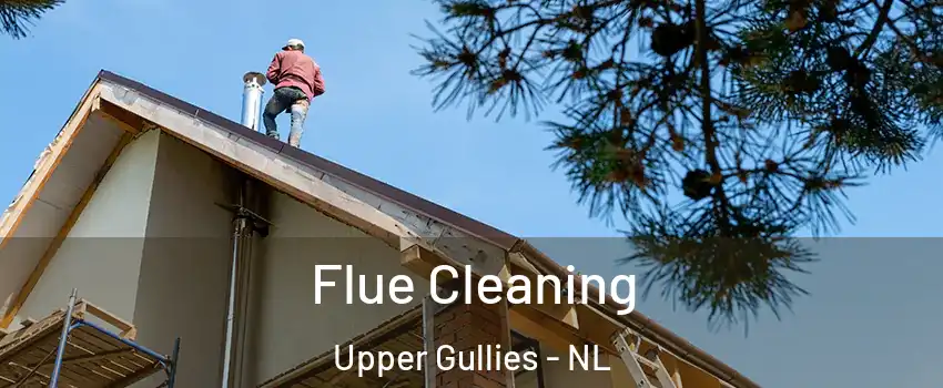  Flue Cleaning Upper Gullies - NL