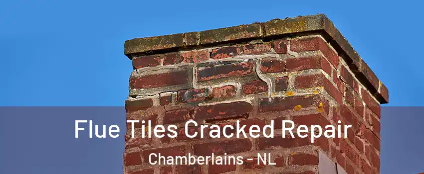  Flue Tiles Cracked Repair Chamberlains - NL