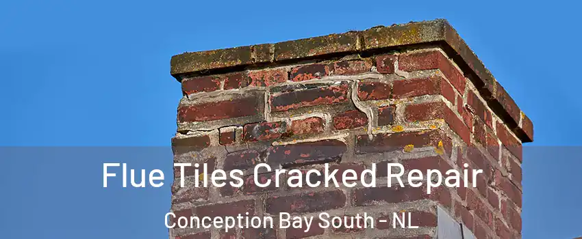  Flue Tiles Cracked Repair Conception Bay South - NL