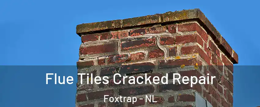  Flue Tiles Cracked Repair Foxtrap - NL