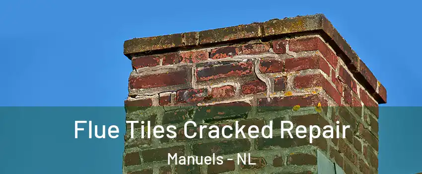  Flue Tiles Cracked Repair Manuels - NL