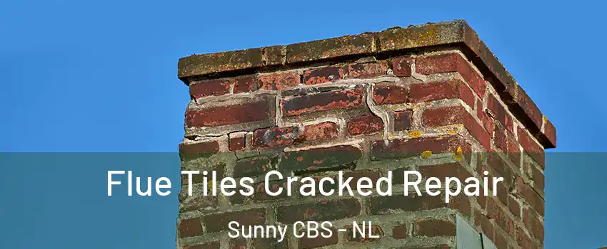  Flue Tiles Cracked Repair Sunny CBS - NL