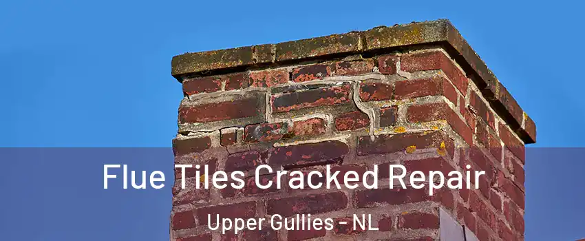  Flue Tiles Cracked Repair Upper Gullies - NL