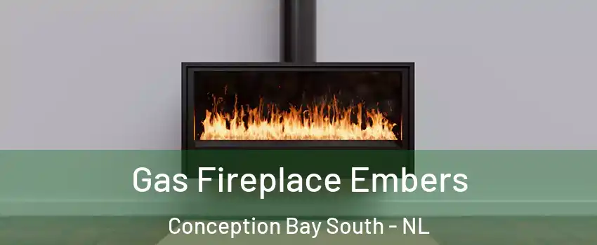  Gas Fireplace Embers Conception Bay South - NL