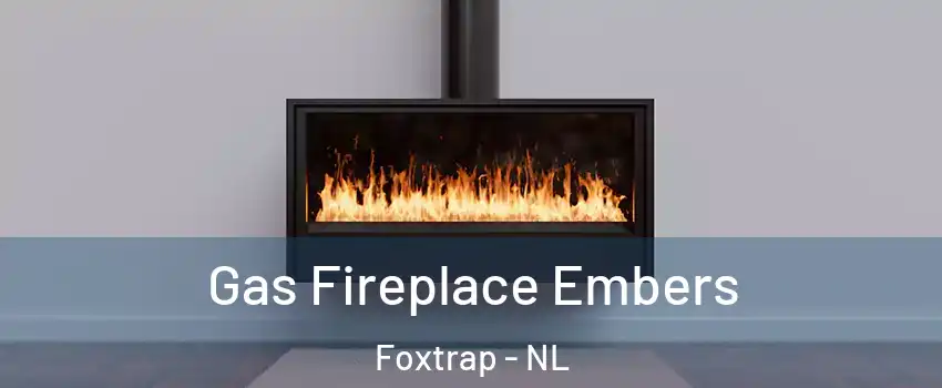 Gas Fireplace Embers Foxtrap - NL