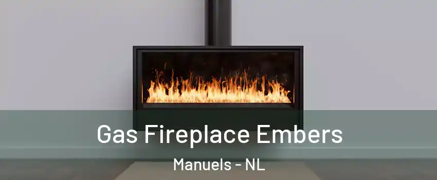  Gas Fireplace Embers Manuels - NL