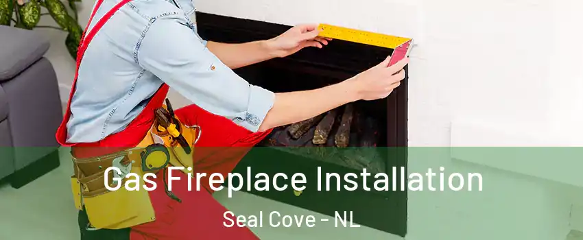  Gas Fireplace Installation Seal Cove - NL