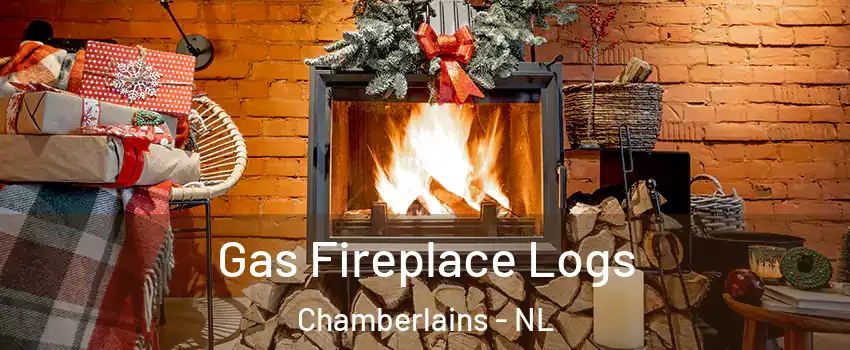  Gas Fireplace Logs Chamberlains - NL
