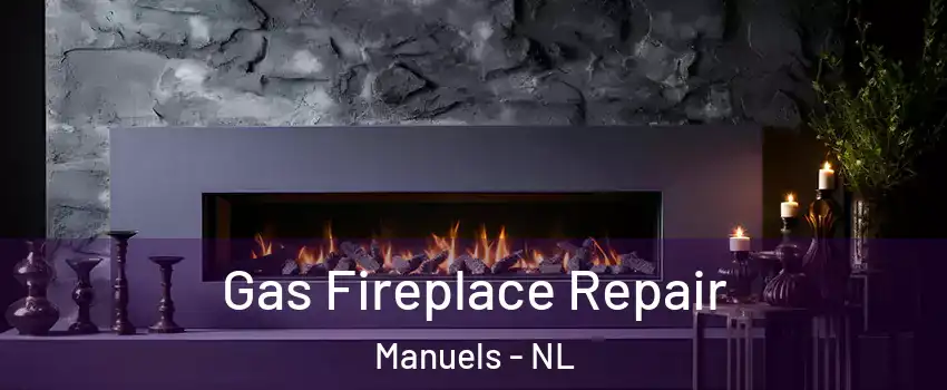  Gas Fireplace Repair Manuels - NL