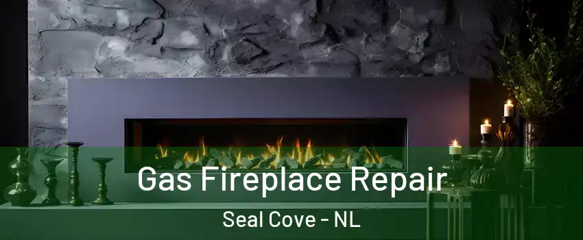  Gas Fireplace Repair Seal Cove - NL
