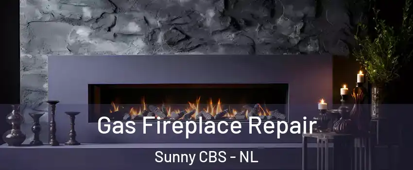  Gas Fireplace Repair Sunny CBS - NL