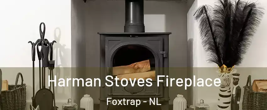  Harman Stoves Fireplace Foxtrap - NL