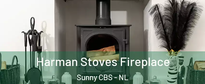  Harman Stoves Fireplace Sunny CBS - NL