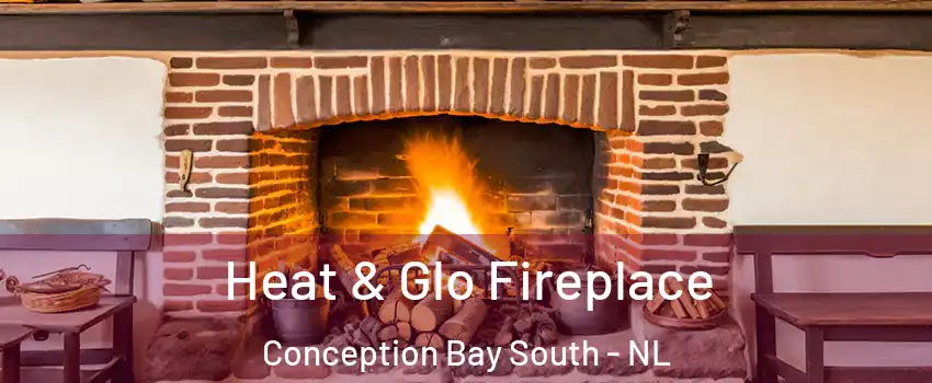  Heat & Glo Fireplace Conception Bay South - NL