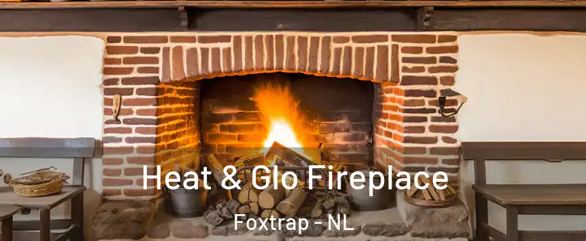  Heat & Glo Fireplace Foxtrap - NL