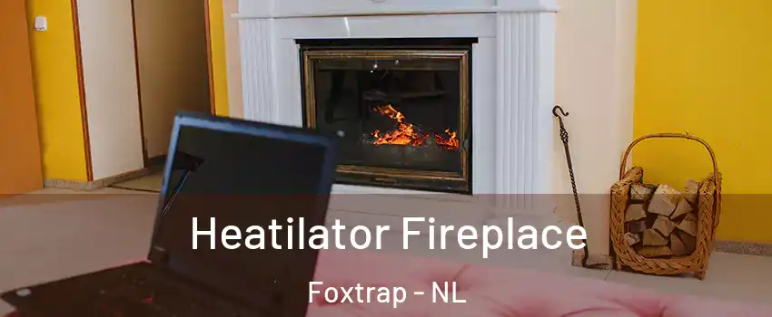  Heatilator Fireplace Foxtrap - NL