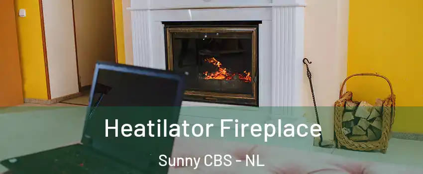  Heatilator Fireplace Sunny CBS - NL