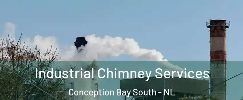  Industrial Chimney Services Conception Bay South - NL