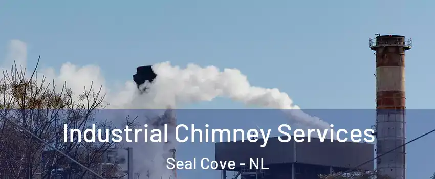  Industrial Chimney Services Seal Cove - NL