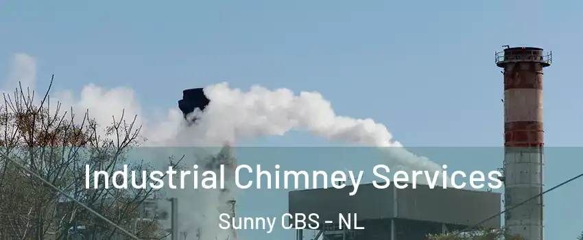  Industrial Chimney Services Sunny CBS - NL