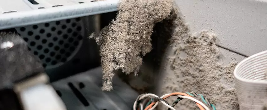 Clogged Dryer Vent Lint Cleaning in Lawrence Pond, Newfoundland