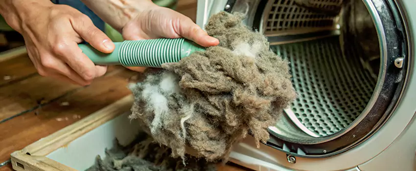 Best Dryer Lint Removal Company in Lawrence Pond, Newfoundland
