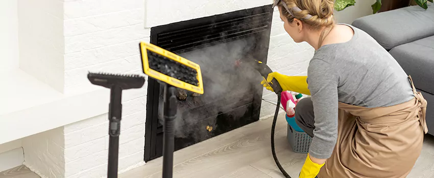 Fireplace Doors Cleaning in Lawrence Pond, Newfoundland
