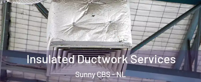 Insulated Ductwork Services Sunny CBS - NL