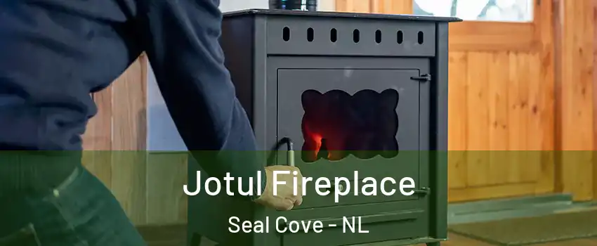  Jotul Fireplace Seal Cove - NL