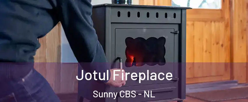  Jotul Fireplace Sunny CBS - NL