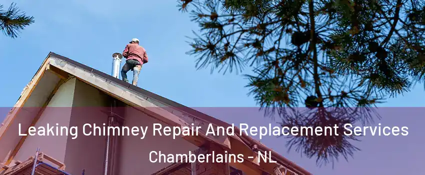  Leaking Chimney Repair And Replacement Services Chamberlains - NL