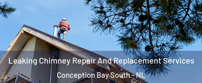  Leaking Chimney Repair And Replacement Services Conception Bay South - NL