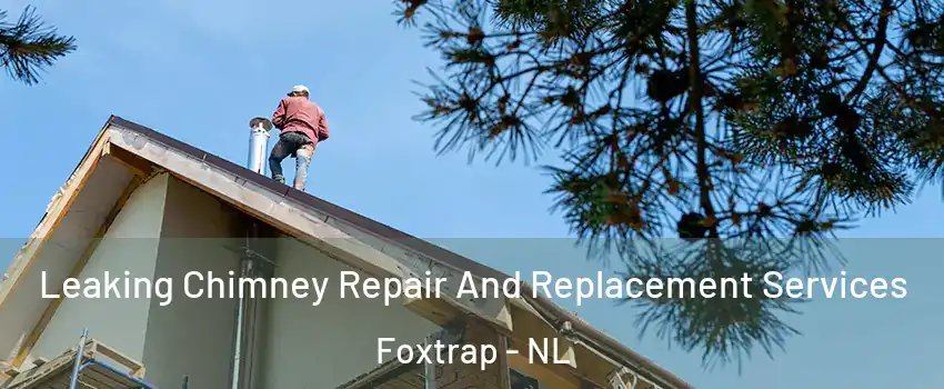  Leaking Chimney Repair And Replacement Services Foxtrap - NL
