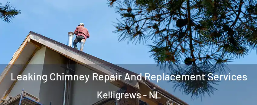  Leaking Chimney Repair And Replacement Services Kelligrews - NL
