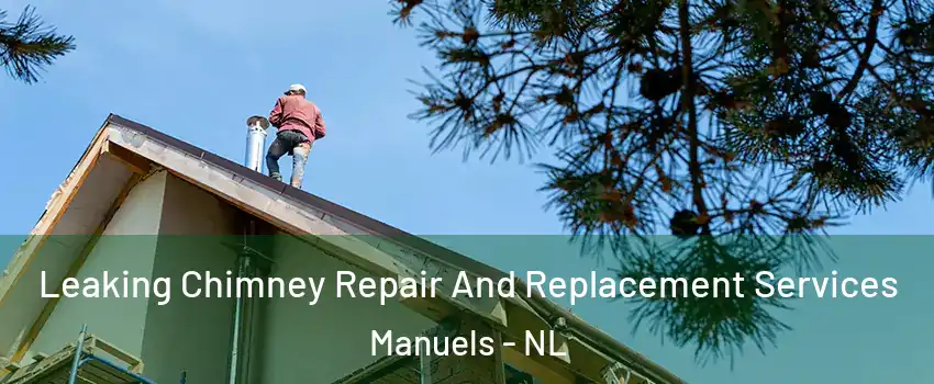  Leaking Chimney Repair And Replacement Services Manuels - NL
