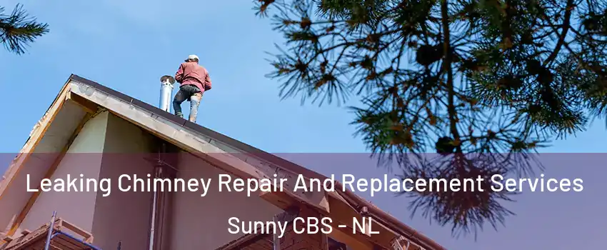  Leaking Chimney Repair And Replacement Services Sunny CBS - NL