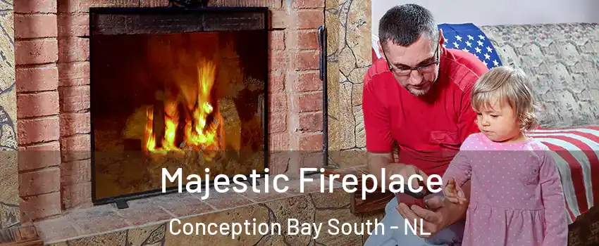  Majestic Fireplace Conception Bay South - NL
